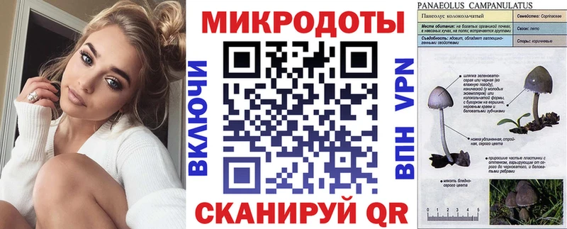 Псилоцибиновые грибы Psilocybe  Купить  Камень-на-Оби 